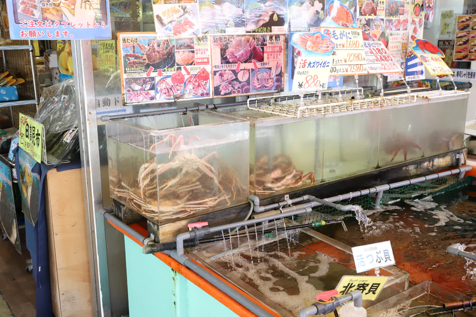 ข้าวหน้าไคเซ็นด้ง อาหารทะเลสดใหม่ที่ห้ามพลาด