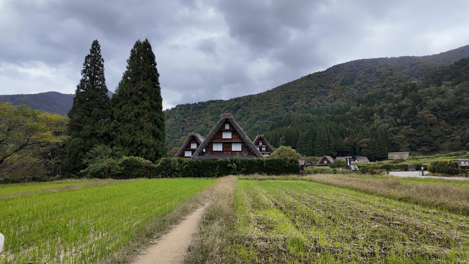 บ้านหลังคามุงจากทรงสามเหลี่ยมหลังทุ่งนา หมู่บ้านชิราคาวะโกะ จังหวัดกิฟุ