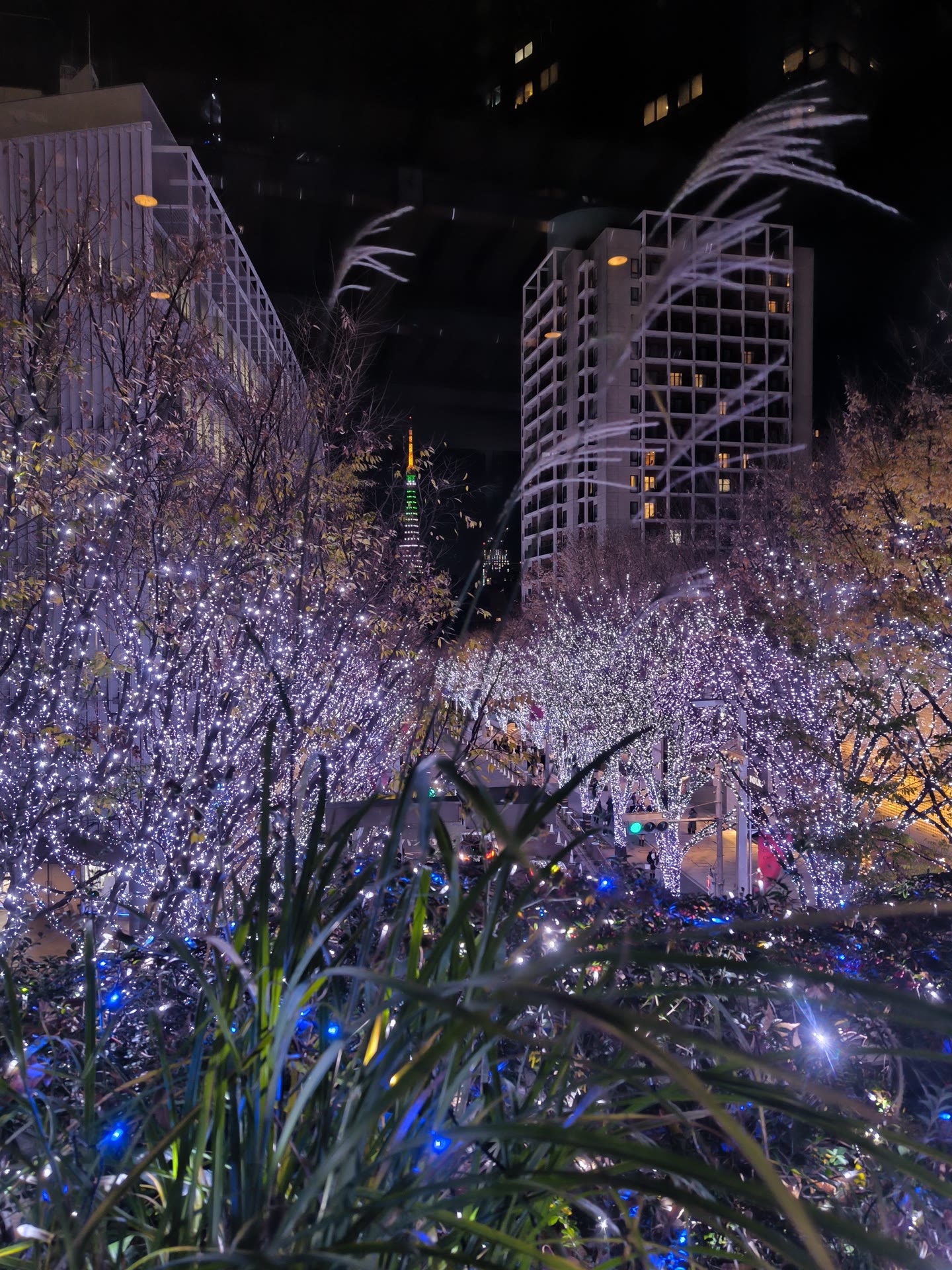 ป้ายทางเข้า Roppongi Hills Christmas Market 2025 ที่ลานหลังคาใหญ่ (ภาพปี 2568)