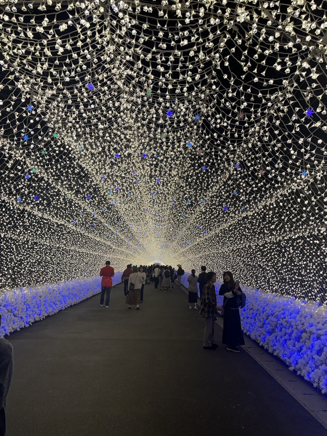 อุโมงค์ไฟของนาบานะโนะซาโตะ ทางเดินสองข้างเป็นแปลงไฟสีน้ำเงิน
